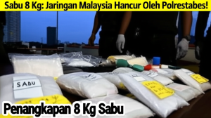 Generate an eye-catching, high-quality featured image prompt for a blog post about: Sabu 8 Kg: Jarin